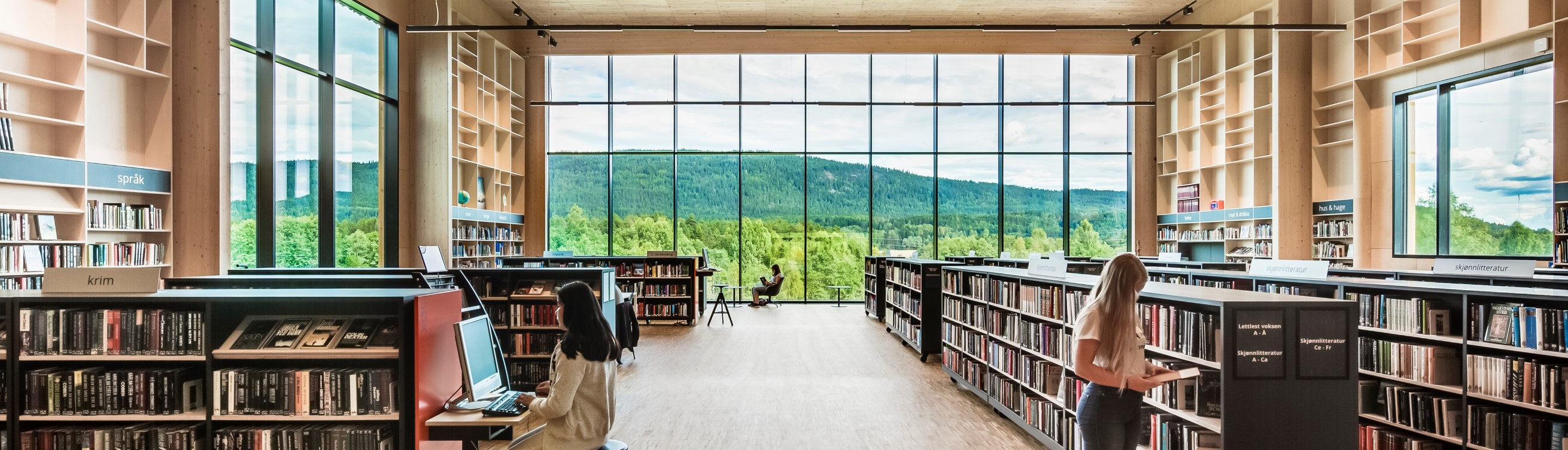 SAPA aluminium curtain walling and windows in a library, bringing light into the room and onto the books, and the landscape beyond